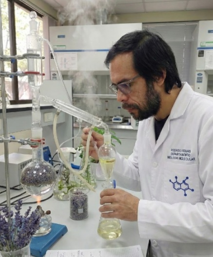 Rodrigo Rojas trabajando en un laboratorio de bioquímica